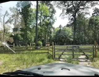 12834 Mustang Dr, Splendora, TX 77372