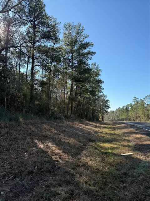 tbd E Fm 942, Corrigan, TX 75939