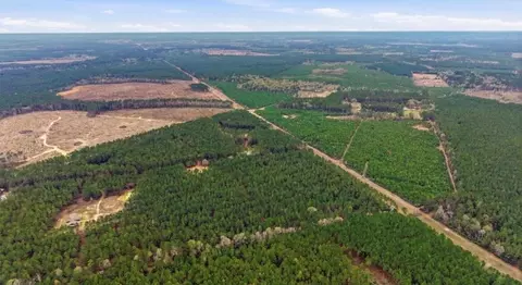 1208 Holly Grove Rd, Livingston, TX 77351