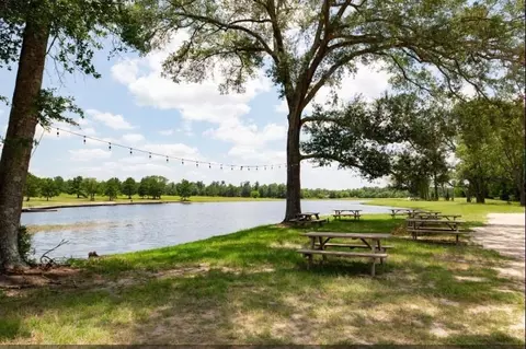 11830 Moss Grove Ct, Willis, TX 77378