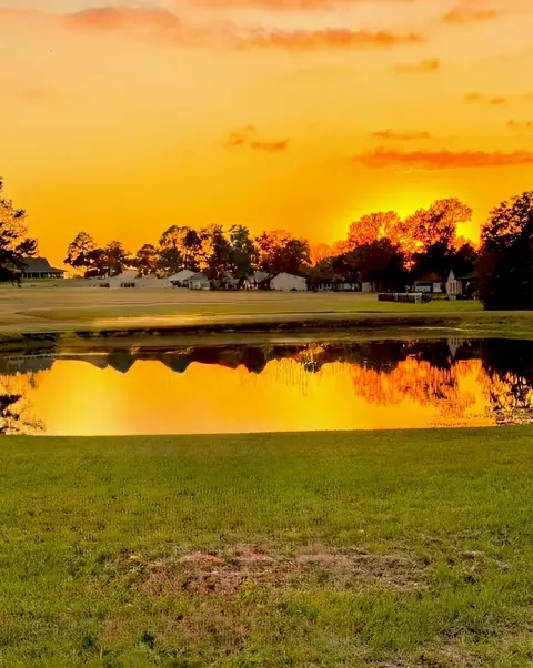 View/Area - 75 Coral Gables, Trinity, TX 75862 photo 1 of 2