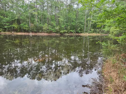 0 Hortman Ln, Saratoga, TX 77585
