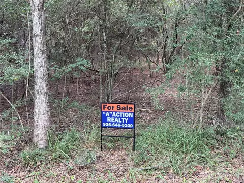 tbd Mockingbird Hls, Livingston, TX 77351