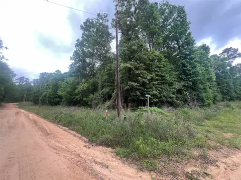 0 Patricia Dr, Livingston, TX 77351