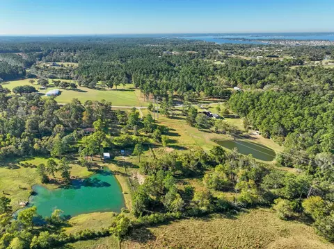 12029 Thompson Rd, Willis, TX 77318 photo 8