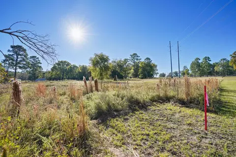12029 Thompson Rd, Willis, TX 77318 photo 24