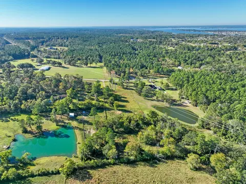 12029 Thompson Rd, Willis, TX 77318 photo 9