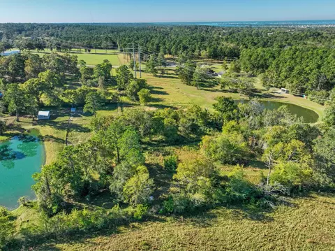 12029 Thompson Rd, Willis, TX 77318 photo 15