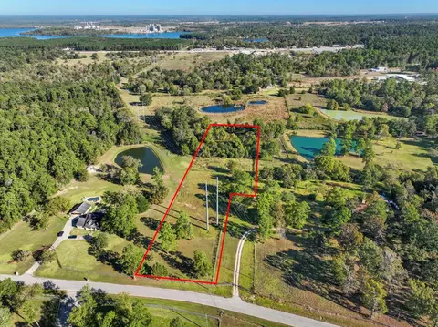 12029 Thompson Rd, Willis, TX 77318 photo 29