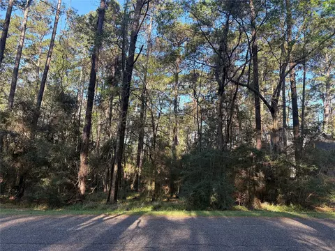 54 Green Tree Dr, Coldspring, TX 77331