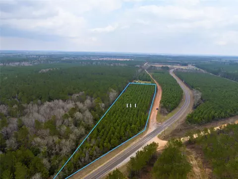 3 Menard Chapel Rd, Livingston, TX 77351
