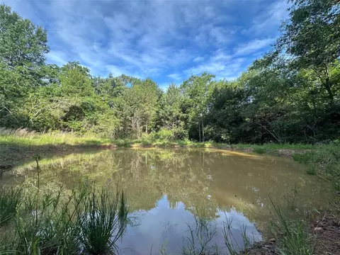 9 Ac Cr 770, Buffalo, TX 75831