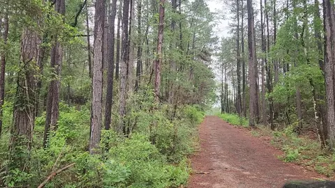 lot33 Gum Tree Ln, Plantersville, TX 77363