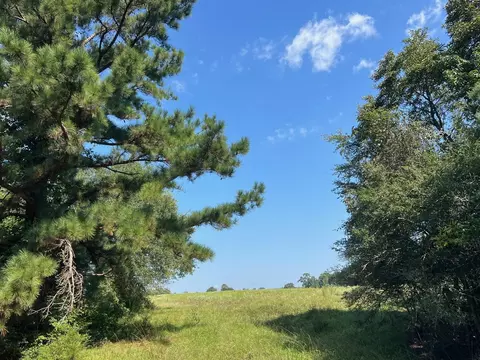 17 Ac Cr 145, Centerville, TX 75833