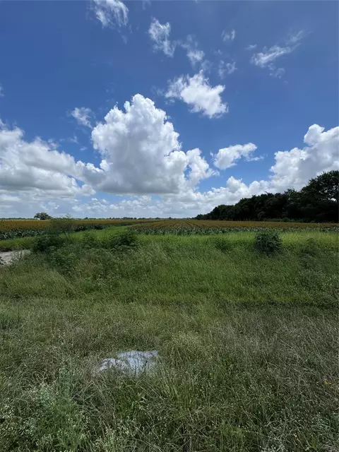 000 Hartledge Rd, Rosenberg, TX 77471 photo 3