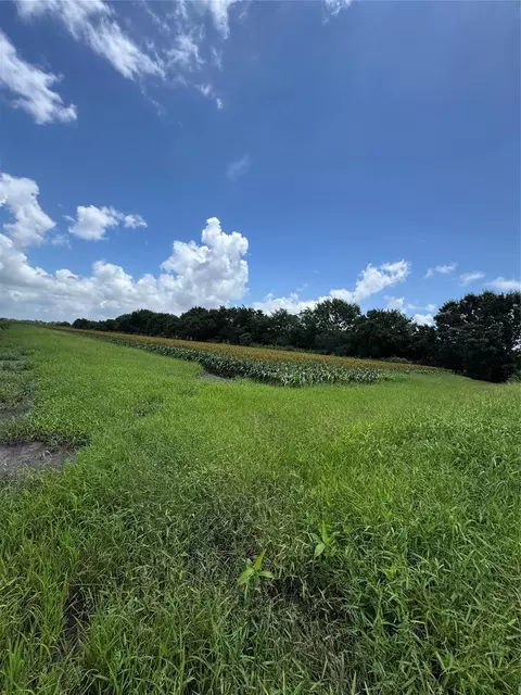 000 Hartledge Rd, Rosenberg, TX 77471 photo 2