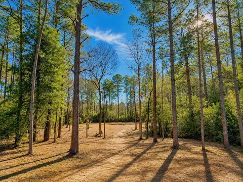 17819 Indigo Hills Dr, Magnolia, TX 77355