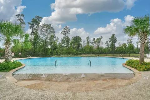108 Wild Wick Way, Spring, TX 77382 photo 42