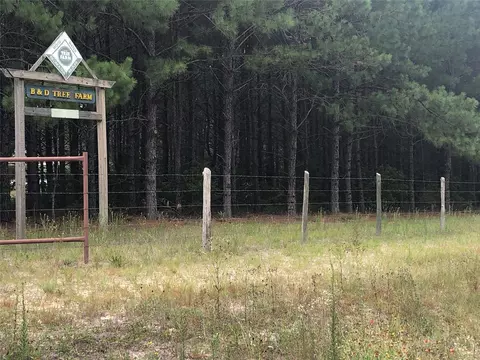13136 Fm 943, Livingston, TX 77351