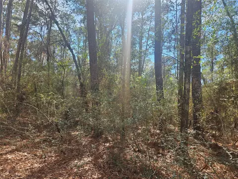 0 Tbd Indian Trail Dr, Hempstead, TX 77445