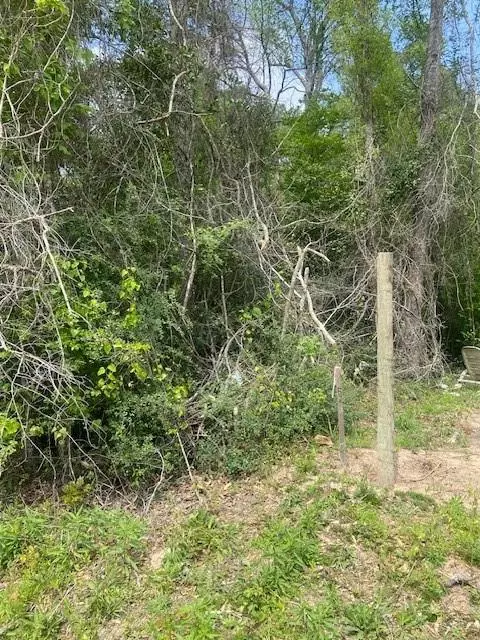 0 Robin Hood Ln, Shepherd, TX 77371