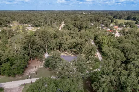 View/Area - 172 Overland Trl, Trinity, TX 75862 photo 5 of 6