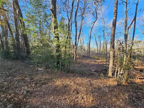 lot4 Sherwood Dr, Shepherd, TX 77371