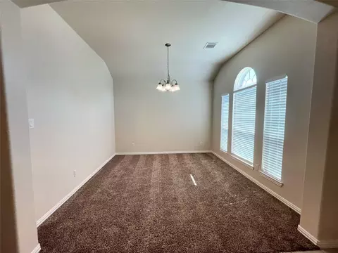Other - 1507 Bella Garden Ct, Spring, TX 77373 photo 1 of 6