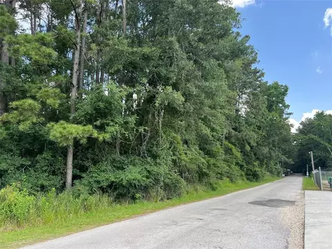 tbd Jimima Blvd, New Caney, TX 77357