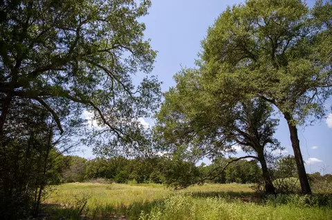 lot2 Rose Hill Rd, Calvert, TX 77837