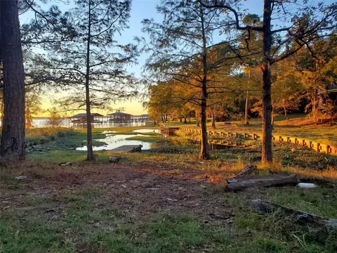 400 Pine Forest Acres, Trinity, TX 75862 photo 10