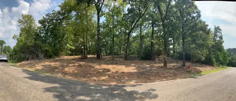 400 Pine Forest Acres, Trinity, TX 75862