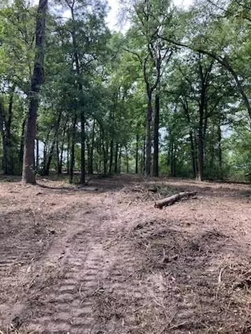 400 Pine Forest Acres, Trinity, TX 75862 photo 3