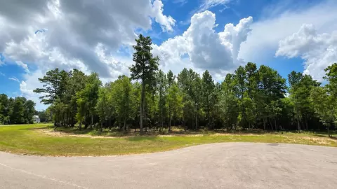 7625 Trinity Pines Dr, Montgomery, TX 77316
