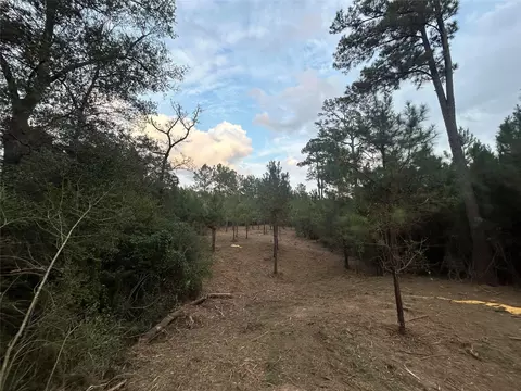 Other - 12 Farm To Market 230, Trinity, TX 75862 photo 1 of 11