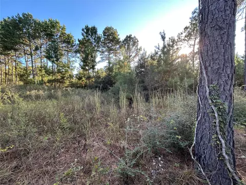 Other - 12 Farm To Market 230, Trinity, TX 75862 photo 5 of 11