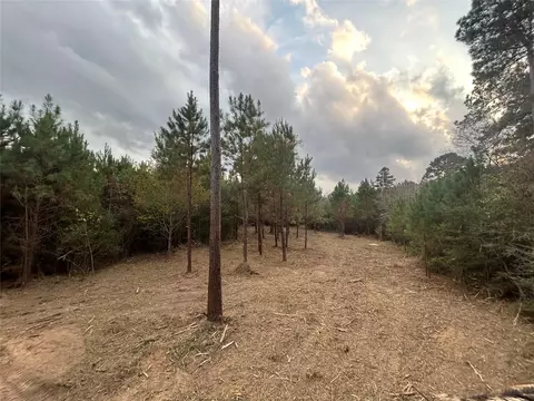 Other - 12 Farm To Market 230, Trinity, TX 75862 photo 3 of 11