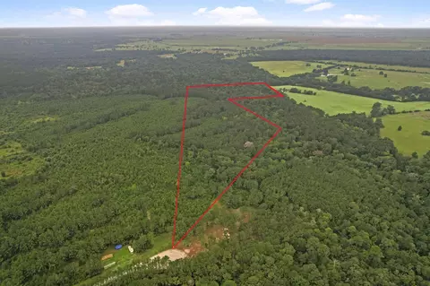 View/Area - 12 Farm To Market 230, Trinity, TX 75862 photo 1 of 1