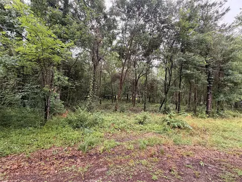5265 Pecan Tree Ln, Montgomery, TX 77316