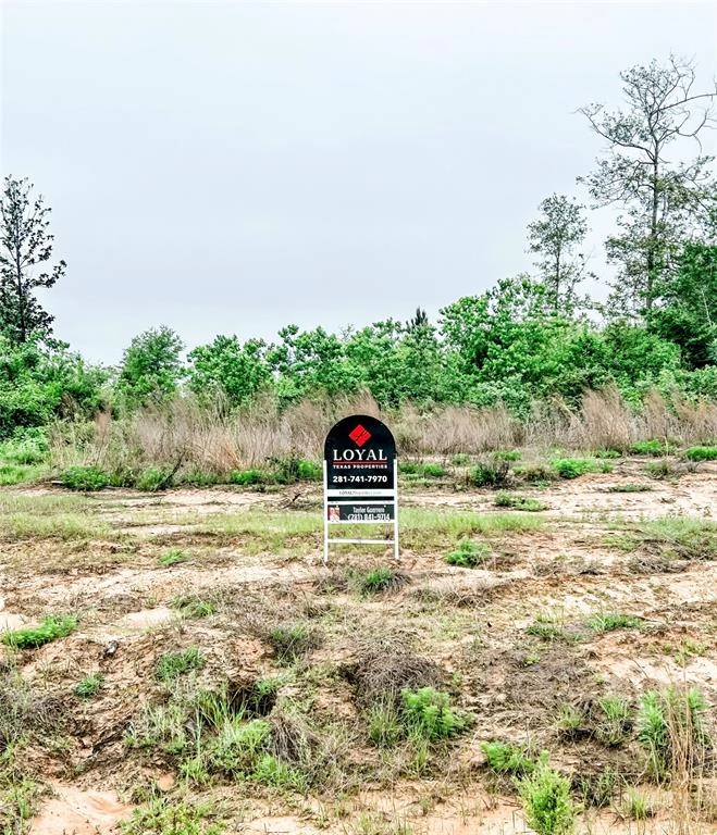 1405 MACON DR  