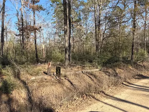 tbd Wild Bird Ln, Livingston, TX 77351