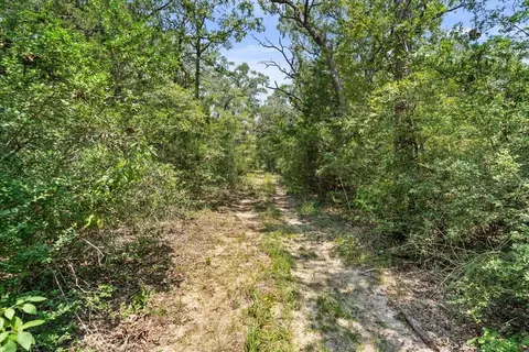 Other - 00 Lcr 732, Thornton, TX 76687 photo 9 of 14