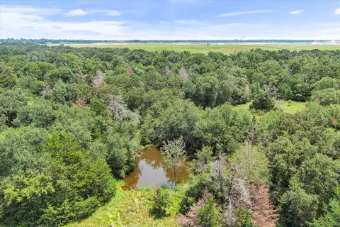 View/Area - 00 Lcr 732, Thornton, TX 76687 photo 5 of 10