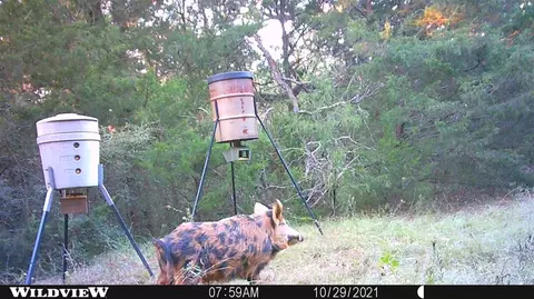Other - 00 Lcr 732, Thornton, TX 76687 photo 14 of 14