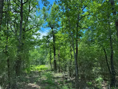 tbd Cr 295, Oakwood, TX 75855