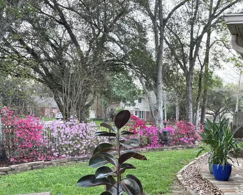 2103 Pleasant Palm Cir, League City, TX 77573