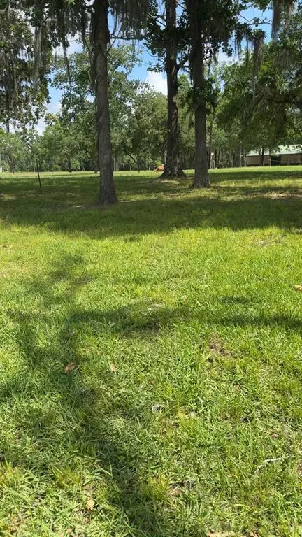 207 Creek Rd, Trinity, TX 75862 photo 6