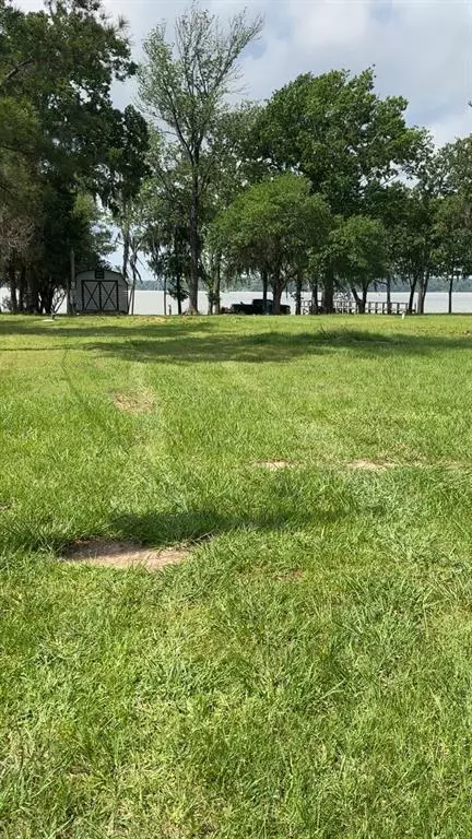 207 Creek Rd, Trinity, TX 75862 photo 3