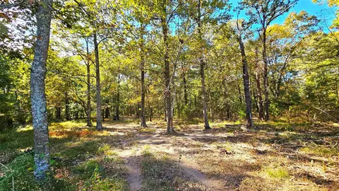 tbd Mt Zion Rd S, New Waverly, TX 77358