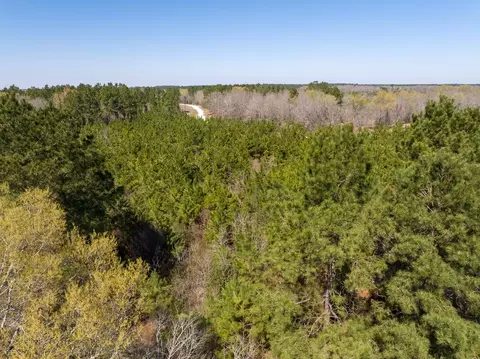 Other - 1 Bo Brown Rd, Trinity, TX 75862 photo 2 of 10